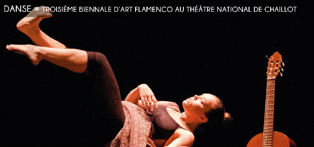 chaillot theatre national de la danse, troisieme biennale dart flamenco, mayte martin, flamenco clasico, jose galvan, david coria, ana morales, rocio molina, rosario la tremendita, andres marin