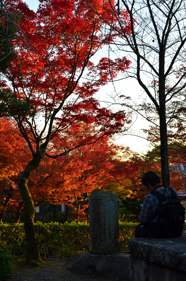 Carnet japonais