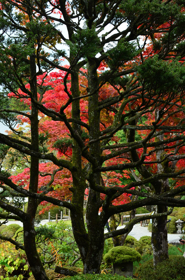 Carnet japonais