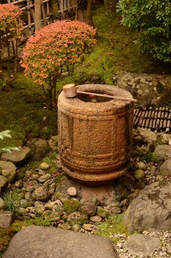 cérémonie, thé, japon, thé vert, vert, senchin, taiho, an, uji, dégustation, visite, rivière