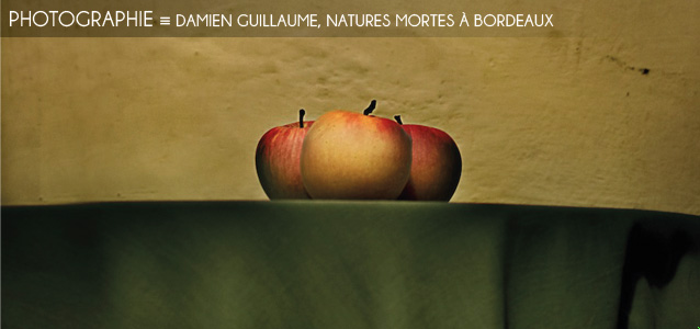 Choix de la rédaction : Damien Guillaume, Natures mortes à Bordeaux