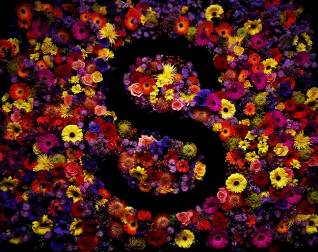 dan tobin smith, dan, tobin, smith, art, biography, picture, pictures, image, images, installation, view, views, painting, paintings, light, color, colors, gun, guns, colours, colour, exhibition