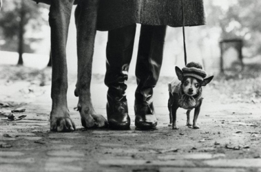 Elliott Erwitt, maison européenne de la photographie, MEP, photographie, photo, noir et blanc, exposition, rétrospective, Personal Best, livre de photographie, américain, Magnum Photos