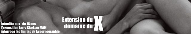 Extension du domaine du X : enquête sur la pornographie, au croisement entre le juridique et la morale.