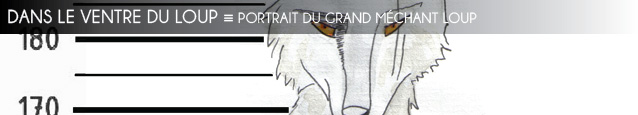 Portrait fictionnel : Le Grand Méchant Loup