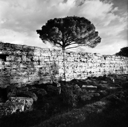 exposition, Photographie, Mimmo Jodice, Italie, Naples, MEP, maison européenne de la photographie, Méditerranée, mer, noir et blanc, Bill Brandt, photographie conceptuelle, photographie métaphysique, 