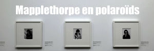 Robert Mapplethorpe Polaroids 1970 1975 modern art oxford henry art gallery mary and leigh block museum of art photo picture pictures photography 