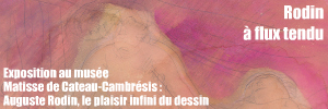 Exposition : Auguste Rodin, le plaisir infini du dessin au musée Matisse au Cateau-Cambrésis, jusqu`au 13 juin 2011.