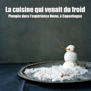 Livre : Noma, le temps et l`espace dans la cuisine nordique, chez Phadon.