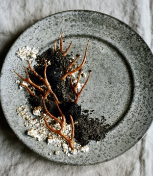 Redzepi, Noma, Blixen, Babette, Copenhague, Groeland, Feroé, Danemark, Finlande, Gabriel Axel, Phaidon, Noma, le temps et lespace dans la cuisine nordique, Jardin des sens, elBulli, livre, photo