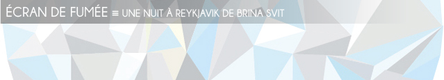 Dossier Fuites au Nord : Une nuit à Reykjavik de Brina Svit, publié chez Gallimard.