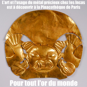 Exposition : L`Or des Incas, origines et mystères à la Pinacothèque de Paris, jusqu`au 6 février 2011.