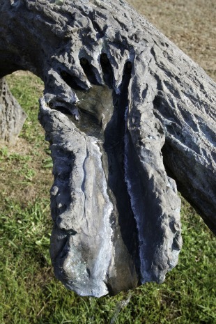 penone, arte povra, Giuseppe Penon, Françoise Jaunin,  Le Regard tactile, artiste, nature, oeuvre, la bibliothèque des arts, matériaux, sculpteur, sève, arbre, italien, écorce, forme, texture