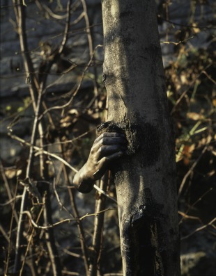 penone, arte povra, Giuseppe Penon, Françoise Jaunin,  Le Regard tactile, artiste, nature, oeuvre, la bibliothèque des arts, matériaux, sculpteur, sève, arbre, italien, écorce, forme, texture