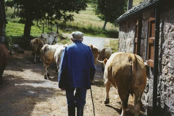 Raymond depardon, depardon, exposition, rétrospective, biographie, parcours, interview, portrait, BAL, bnf, France, magnum, magnum gallery, galerie, photographie, photographies, photo, photos