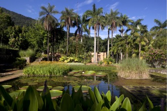 robert burle marx, burle, marx, roberto, cité, chaillot, architecture, patrimoine, exposition, portrait, interview, oeuvre, biographie, photo, photographie, maquette, plan, jardin, jardins, pétropolis
