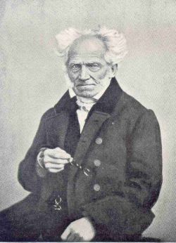 Arthur Schopenhauer
petits écrits français Christian Sommer Kant Hegel Fichte Voltaire
philosophie