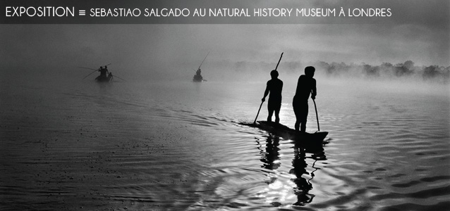 Choix de la rédaction : Sebastiao Salgado - Genesis au Natural History Museum, Londres