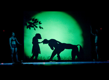 shadowland, danse, folies bergère, spectacle, théâtre des ombres, pilobolus, steven banks, david poe, ballet, bob l`éponge, musical, ombre, ombres, interview, shadow, folies, bergères, paris, théâtre