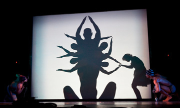 shadowland, danse, folies bergère, spectacle, théâtre des ombres, pilobolus, steven banks, david poe, ballet, bob l`éponge, musical, ombre, ombres, interview, shadow, folies, bergères, paris, théâtre