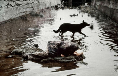 stalker de tarkovski le stalker et le chien