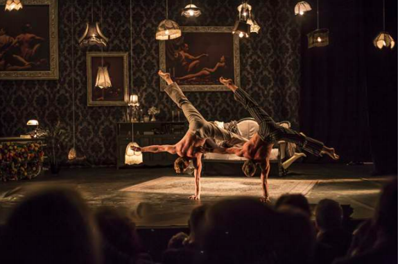 the elephant in the room, theatre bernadette lafont nimes, cirque le roux, music hall, danse, cirque, acrobaties, comique, comédie, claquettes, musique, vaudeville, costumes