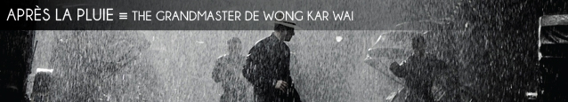 Cinéma : The Grandmaster de Wong Kar Wai