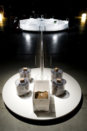 tragedy, commons, tragedy of commons, palais de tokyo, tokyo, exposition, installation, robin meier, ali momeni, fourmi, fourmis, hardin, garret hardin, tragédie, biens communs, paris, humain, humains
