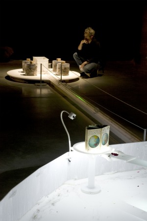 tragedy, commons, tragedy of commons, palais de tokyo, tokyo, exposition, installation, robin meier, ali momeni, fourmi, fourmis, hardin, garret hardin, tragédie, biens communs, paris, humain, humains