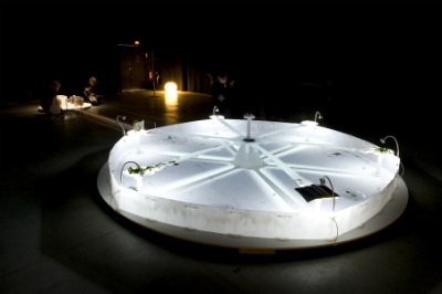 tragedy, commons, tragedy of commons, palais de tokyo, tokyo, exposition, installation, robin meier, ali momeni, fourmi, fourmis, hardin, garret hardin, tragédie, biens communs, paris, humain, humains